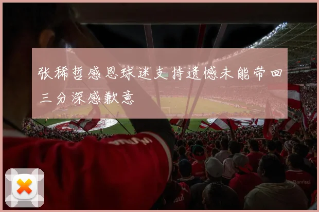 张稀哲感恩球迷支持遗憾未能带回三分深感歉意